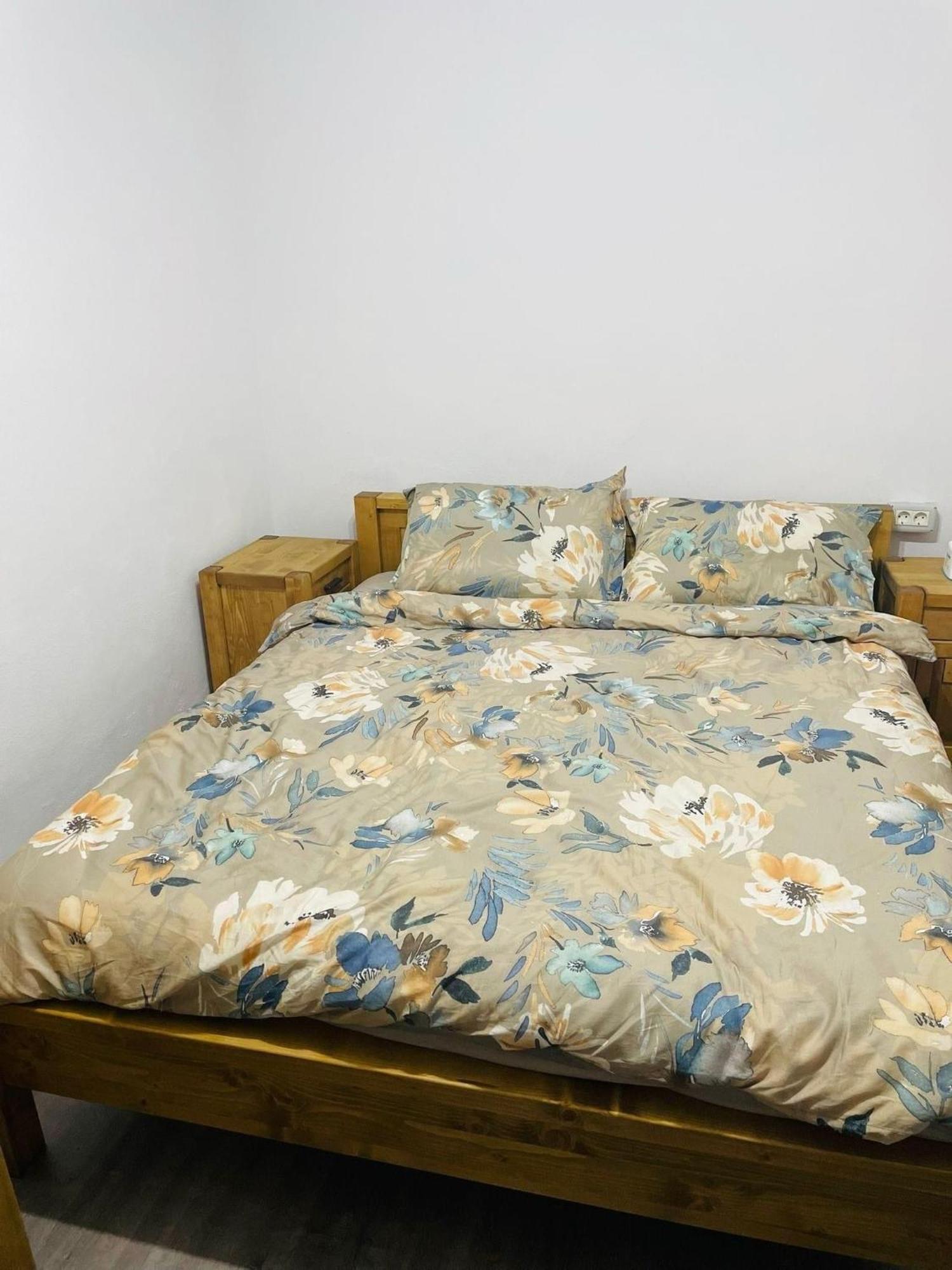 Casuta Irina Villa Sohodol  Ngoại thất bức ảnh