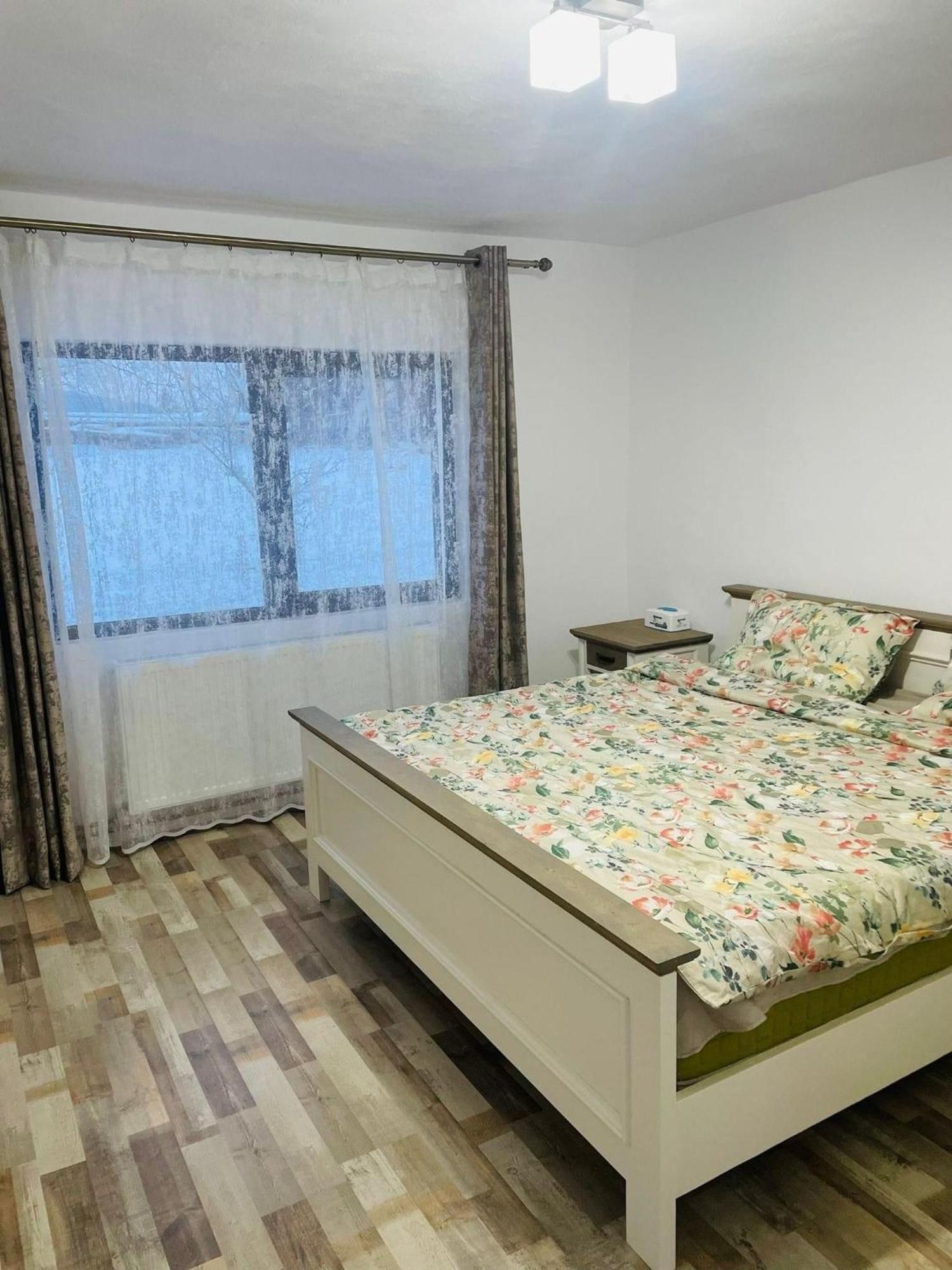 Casuta Irina Villa Sohodol  Ngoại thất bức ảnh