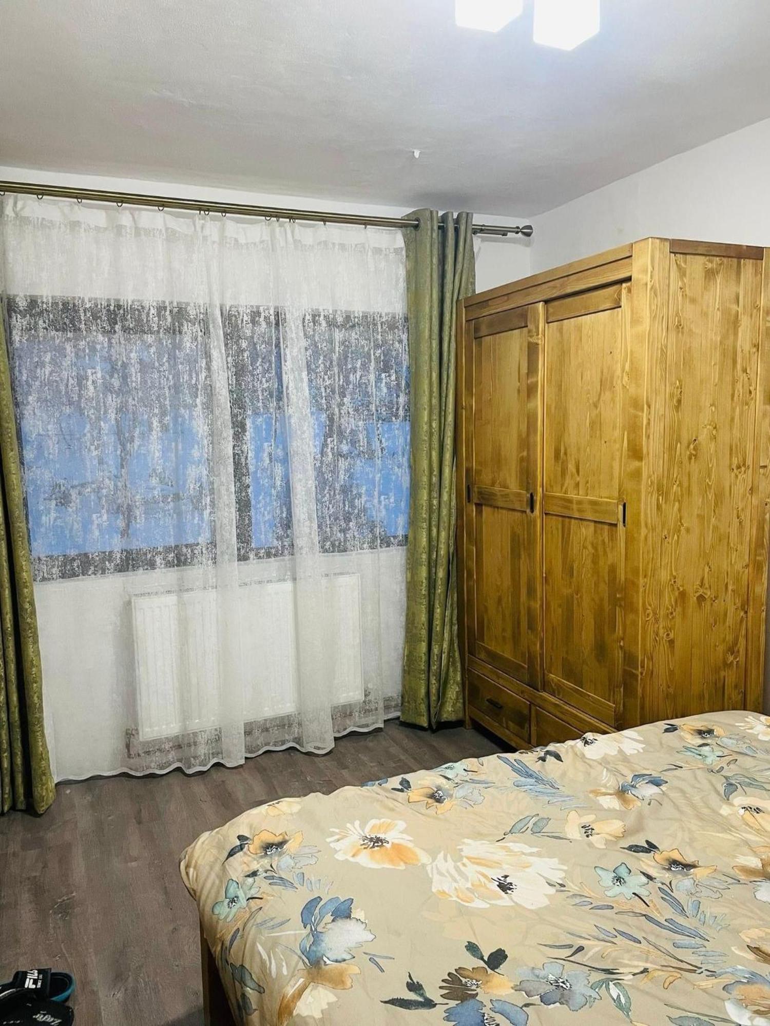 Casuta Irina Villa Sohodol  Ngoại thất bức ảnh